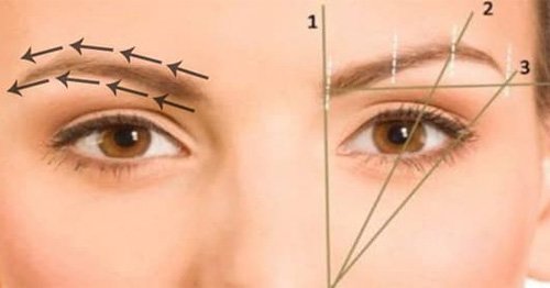You are currently viewing How To Identify And Prevent Eyebrow Hair Loss?